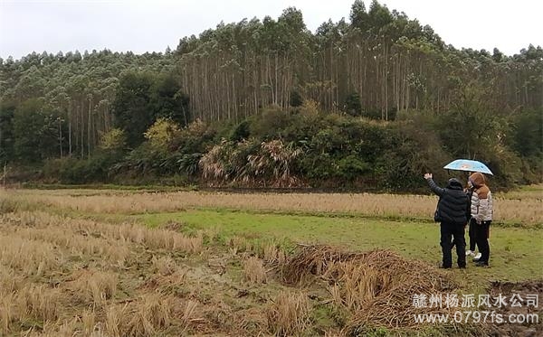 内蒙古陈老师带着爱徒寻龙点穴